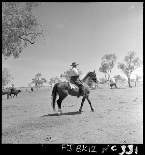 Tom Quilty riding "Viking" another of his favourite camp horses, Springvale Station, via Halls Creek, Kimberleys, Western Australia, April 1956 [picture] / Frank H. Johnston