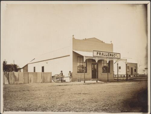 Allen & Co.'s Store, June 1883 [picture]
