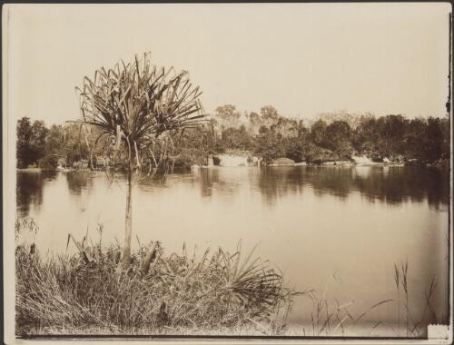 Kathleen Falls, Flora River, September 1887 [picture]