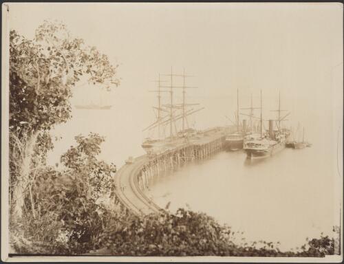 Jetty from Stoke's Hill, September 1888 [picture]