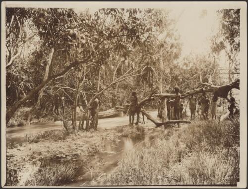 Natives on the Adelaide River, December 1888 [picture]
