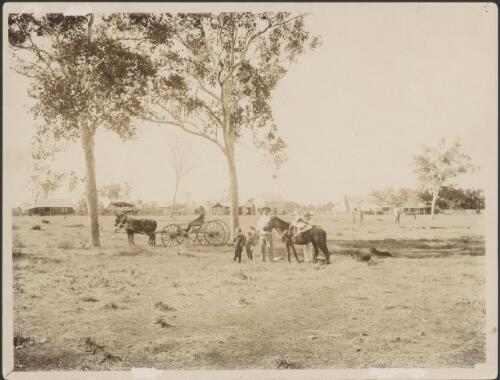 Spring Vale, July 1893 [picture]