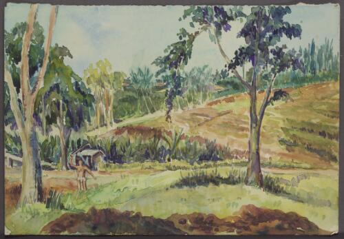 [Tapioca crop, Changi, 1942-1945] [picture] / [J.N.D. Harrison]