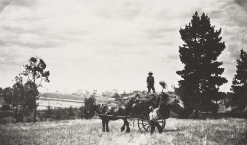 Harvesting around Melbourne, 1930s [picture]
