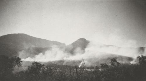Bush fires in the Grampians, Victoria, ca. 1930s [picture]