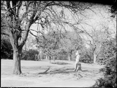 Statue representing Winter, Royal Botanic Gardens, Sydney, ca. 1935, 2 [picture] / E.W. Searle