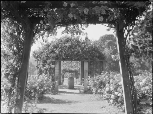 Nellie Stewart Memorial Rosary, Royal Botanic Gardens, Sydney, ca. 1935, 2 [picture] / E.W. Searle