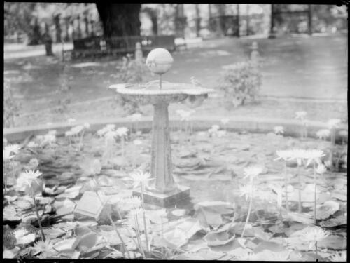Women's Christian Temperance Union Fountain, Royal Botanic Gardens, Sydney, ca. 1945, 1 [picture] / E.W. Searle