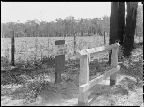 Grave of Thomas McFarland, Wisemans Ferry Road, Hawkesbury River, New South Wales, ca. 1945 [picture] / E.W. Searle