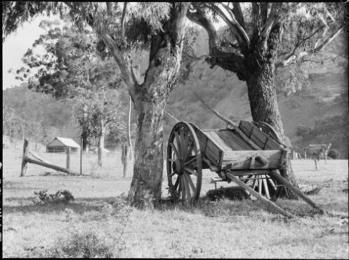Cart between two trees, near Barrallier Crossing, Wollondilly River, New South Wales, ca. 1950 [picture] / E.W. Searle