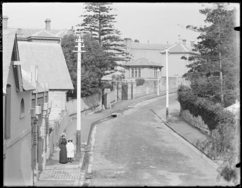 Coach houses to Clopee, Fairhaven and Wyldefel, Wylde Street, Potts Point, Sydney, ca. 1900, 1 [picture]