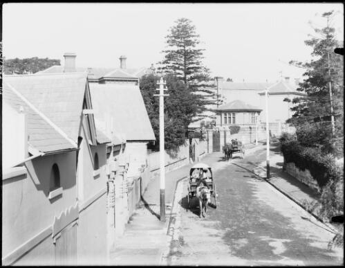 Coach houses to Clopee, Fairhaven and Wyldefel, Wylde Street, Potts Point, Sydney, ca. 1900, 2 [picture]