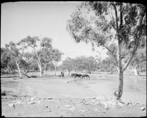 Man on horseback herding three horses beside the Todd River, Alice Springs, Northern Territory, 1947 [picture] / E.W. Searle