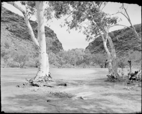 Gum trees and a flooded Todd River, Heavitree Gap, Alice Springs, Northern Territory, 1947 [picture] / E.W. Searle