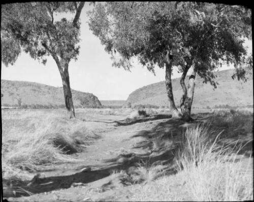 Heavitree Gap, Alice Springs, Northern Territory, 1947 [picture] / E.W. Searle