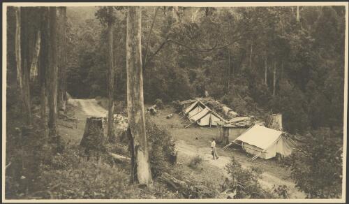 Man walking past a bush camp carrying a billy, Australia, ca. 1935, 2 [picture] / E.W. Searle