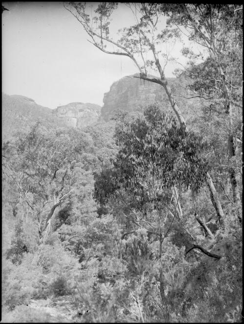 Grose Valley, Blue Mountains, New South Wales, ca. 1935, 8 [picture] / E.W. Searle