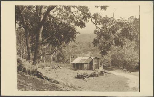 Old timber camp, Gurimba, New South Wales, ca. 1947, 2 [picture] / E.W. Searle