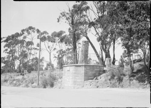 Explorers Tree, Katoomba, Blue Mountains, New South Wales, ca. 1939, 2 [picture] / E.W. Searle