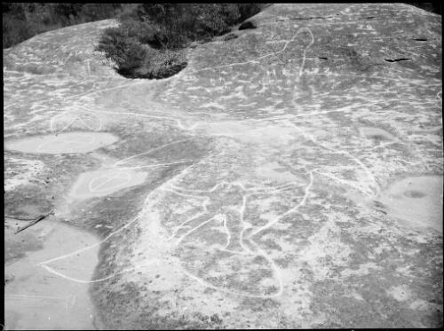 Rock carvings of fish, a human form and geometric shapes, North Manly, Sydney, 1953 [picture] / E.W. Searle