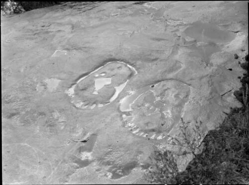 Rock carvings in the shape of two feet, Ku-Ring-Gai Chase National Park, New South Wales, 1950, 1 [picture] / E.W. Searle