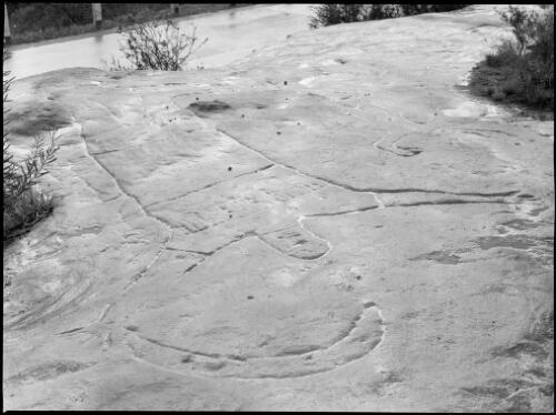 Rock carving of a human form with a boomerang, Ku-Ring-Gai Chase National Park, New South Wales, 1950, 1 [picture] / E.W. Searle
