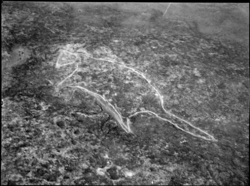 Rock carving of a kangaroo or wallaby, Bantry Bay, Middle Harbour, Sydney, ca. 1950 [picture] / E.W. Searle