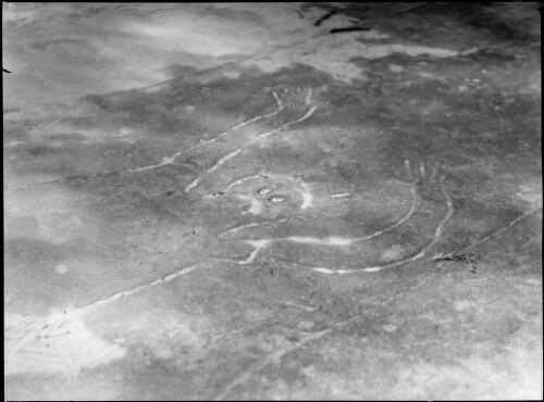 Rock carving of a human form, Bobbin Head, Ku-Ring-Gai Chase National Park, New South Wales, 1950, 1 [picture] / E.W. Searle