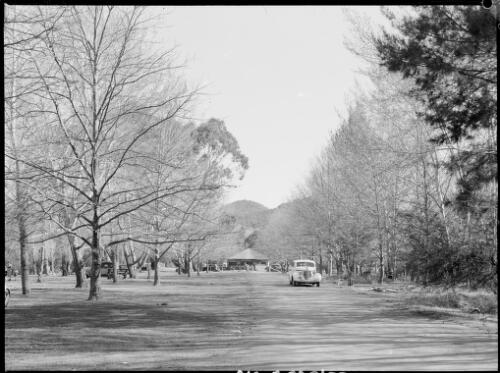 Looking towards the kiosk at the Cotter Reserve, Australian Capital Territory, ca. 1949, 1 [picture] / E.W. Searle