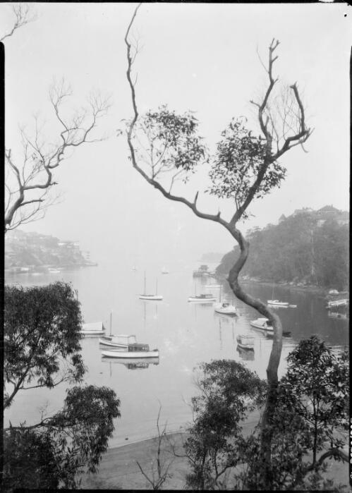 Sailing boats moored in Mosman Bay, Sydney Harbour, ca. 1935, 1 [picture] / E.W. Searle