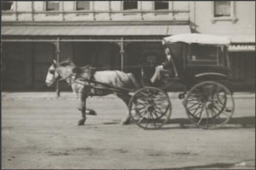 Horse drawn carriage on the streets of Melbourne, ca. 1902 [picture] / E.W. Searle