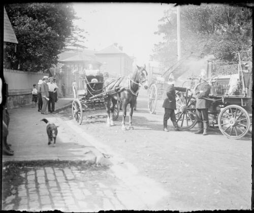 Horse drawn fire brigade, Wylde Street, Potts Point, Sydney, ca. 1900, 2 [picture]