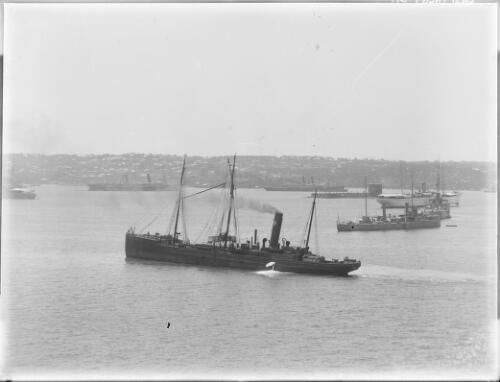 Various cargo and passenger ships around Fort Denison, Sydney Harbour, ca. 1910 [picture]