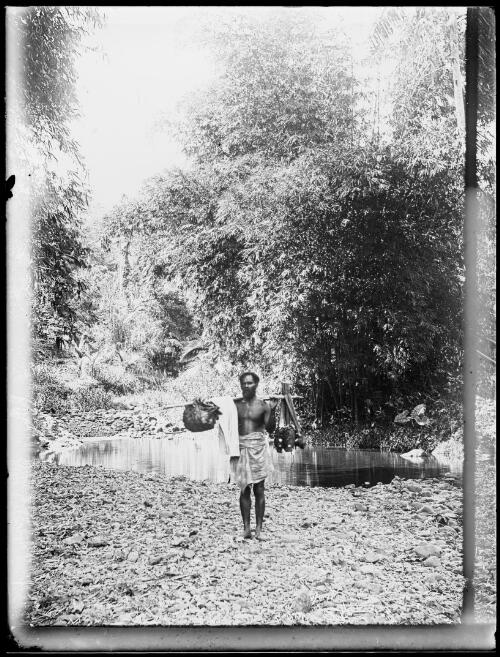 Man carrying a pole hung with produce beside a pond, Fiji, ca. 1920 [picture] / E.W. Searle