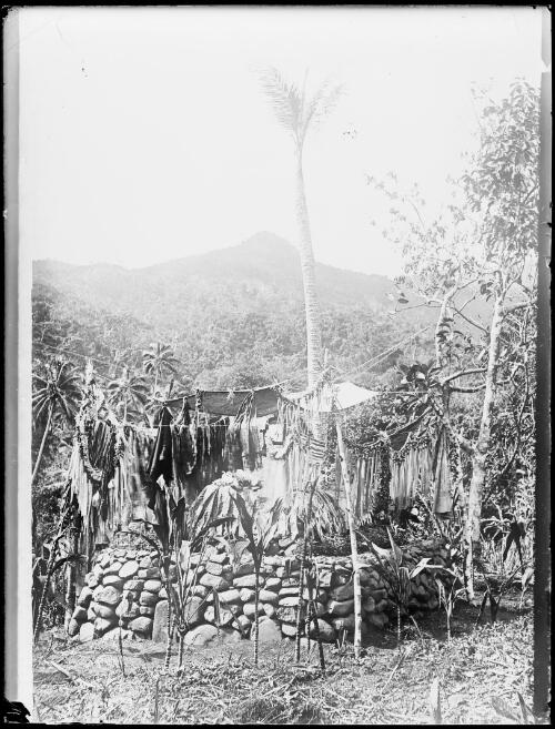 Stone platform with cloth hangings above, Fiji, ca. 1920 [picture] / E.W. Searle