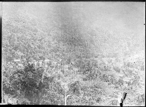 Village surrounded by jungle, Fiji, ca. 1920 [picture] / E.W. Searle