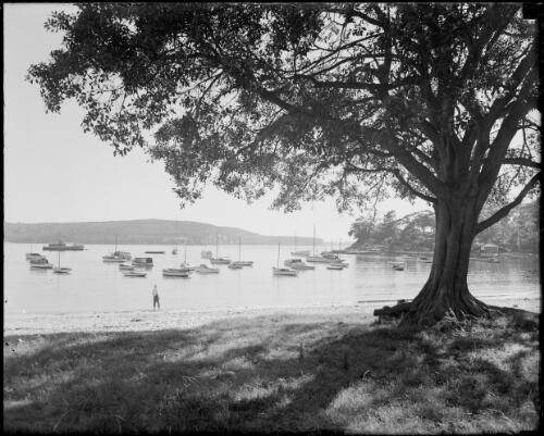 Moored boats in a sheltered bay, Sydney Harbour, ca. 1947, 3 [picture] / E.W. Searle