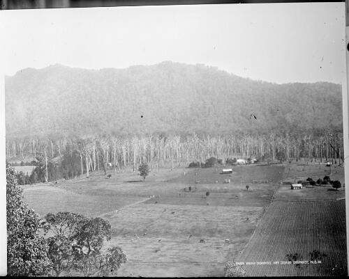 Farms near Dorrigo, New South Wales, ca. 1935 [picture] / E.W. Searle