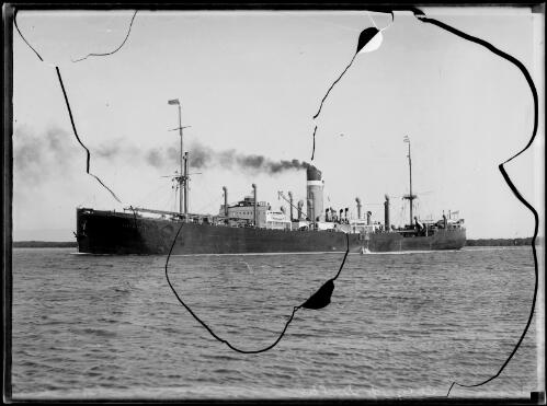 Cargo vessel City of Delhi, Sydney Harbour, ca. 1935 [picture] / E.W. Searle