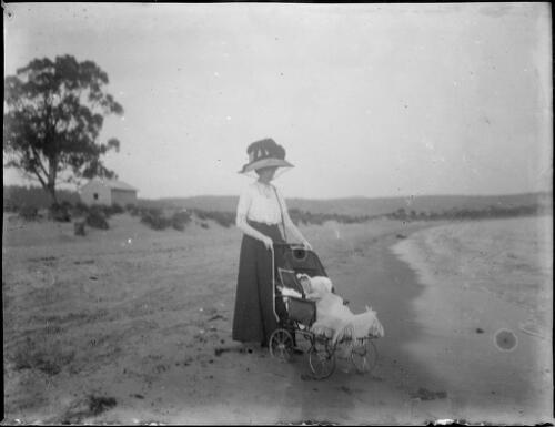 Woman with a baby in a pram on a beach, Australia, ca. 1900, 1 [picture] / E.W. Searle