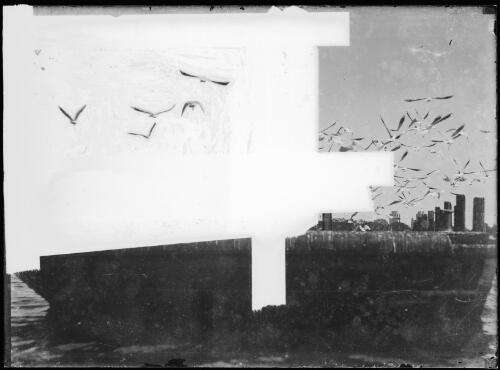 Flock of seagulls against a city skyline, Australia, ca. 1935 [picture] / E.W. Searle