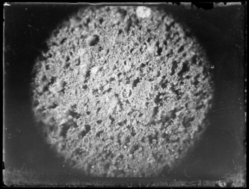 Magnified geological specimen, Australia, ca. 1935, 1 [picture] / E.W. Searle
