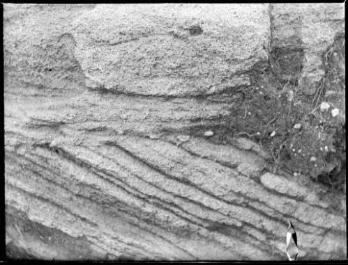 Magnified geological specimen, Australia, ca. 1935, 5 [picture] / E.W. Searle