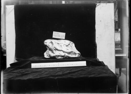 Gold nugget named Beauty found in 1858 at Kangaroo Gully, Sandhurst, Australia, 2 [picture] / E.W. Searle
