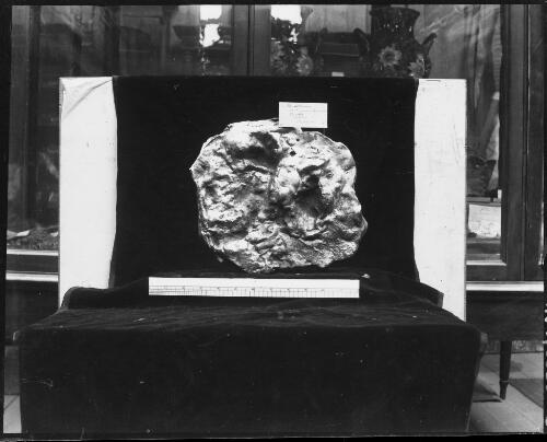 Gold nugget named the Schlemm found in 1872 at Dunolly, Victoria, 1 [picture] / E.W. Searle