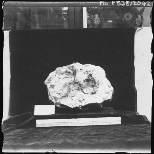 Gold nugget named the Schlemm found in 1872 at Dunolly, Victoria, 2 [picture] / E.W. Searle