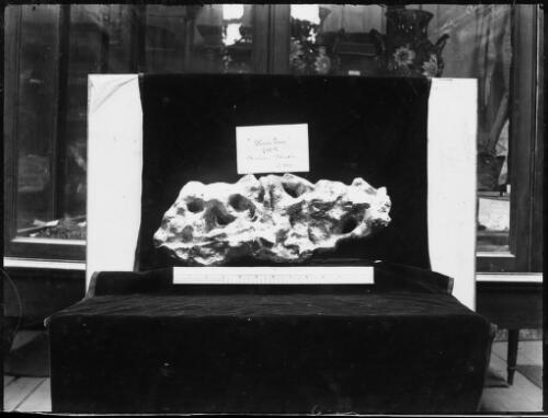 Gold nugget named Rum Ton found in 1870 at Berlin, Rheola, Victoria [picture] / E.W. Searle