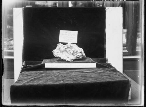 Unnamed nugget found at Black Hill Flat, Indicator Lode, Ballarat East, Victoria, 1876 [picture] / E.W. Searle