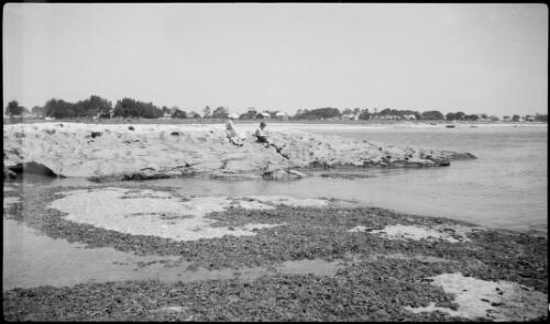 Water's edge, Kurnell, Botany Bay, New South Wales, ca. 1935 [picture] / E.W. Searle