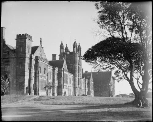 East face of the Quadrangle, with the Great Hall to the right, University of Sydney, Camperdown, Sydney, ca. 1935 [picture] / E.W. Searle